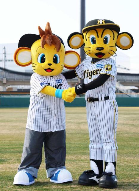 阪神 新マスコット「コラッキー」が入団 トラッキーの弟 建設中の新2