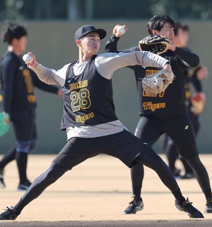 　キャッチボールをする今朝丸（撮影・田中太一）