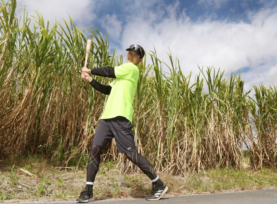 　サトウキビ畑を背に、バットを振る小幡（撮影・田中太一）