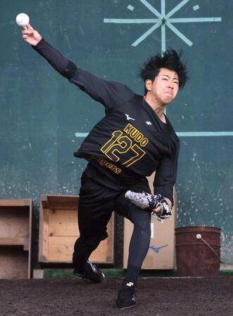 阪神育成1位・工藤 初ブルペンでいきなり150キロ「アピールしてナンボ」速球派ベール脱いだ