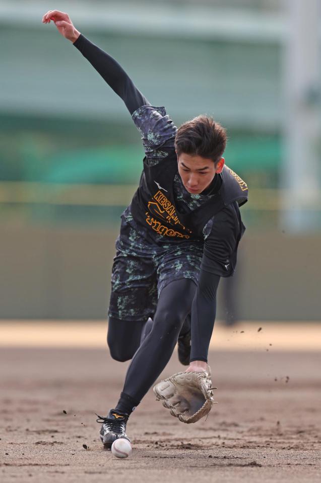 　打球に対し、勢いよく突っ込む今朝丸（撮影・中田匡峻）