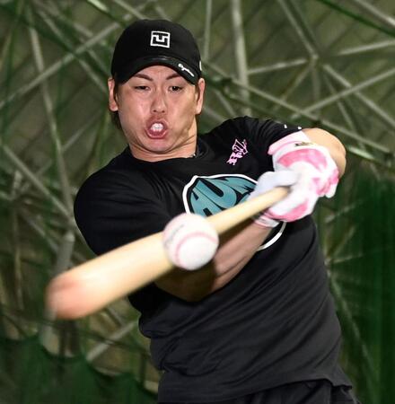 　打撃練習をする梅野（撮影・田中太一）