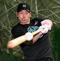 　打撃練習をする梅野（撮影・田中太一）
