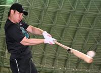 　打撃練習をする梅野（撮影・田中太一）