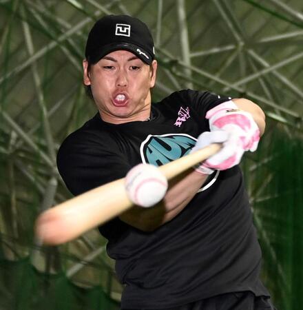 　打撃練習をする梅野（撮影・田中太一）