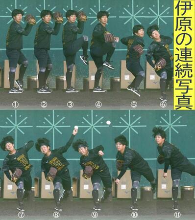 　ドラ１・伊原の投球フォームを中田良弘氏が「バランスの良さと豪快さが共存」と評価