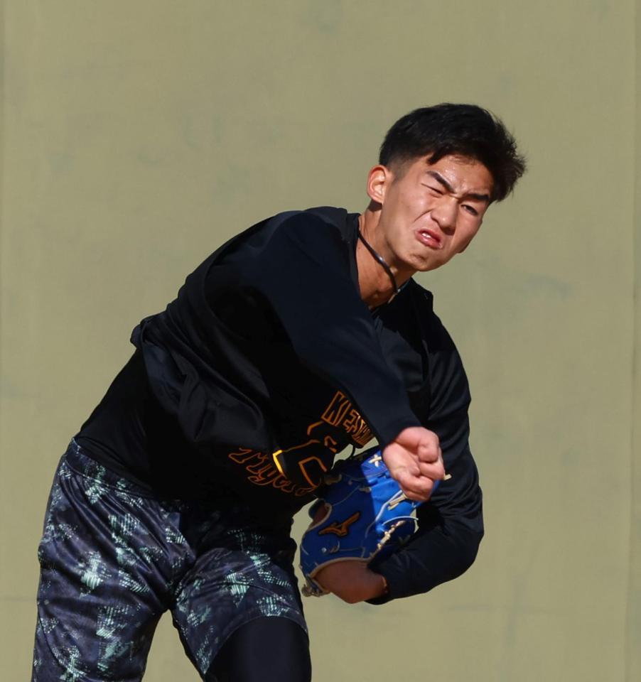 キャッチボールする今朝丸（撮影・山口登）