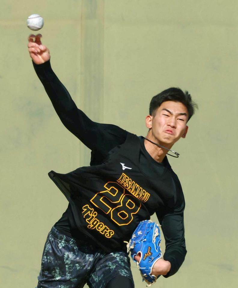 　キャッチボールをする今朝丸（撮影・山口登）