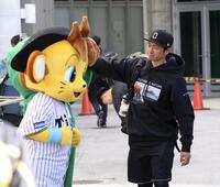 　球場入りする近本（撮影・田中太一）