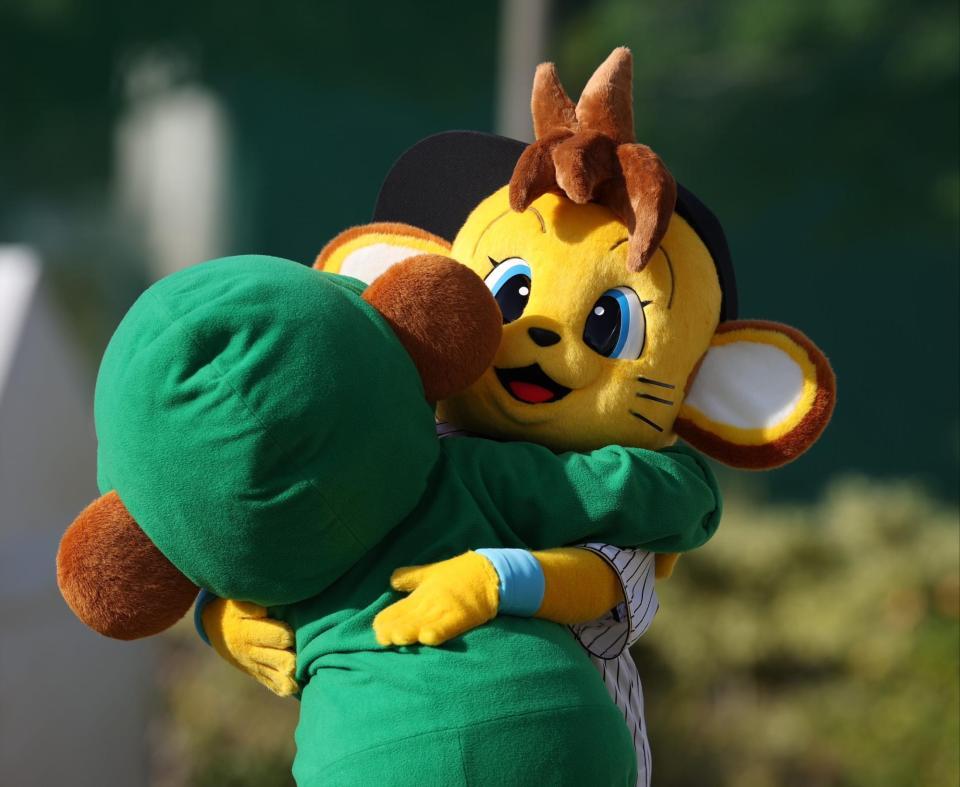 　コラッキー（撮影・中田匡峻）