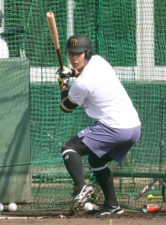 　独自の構えでボールを呼び込む井坪（撮影・田中太一）