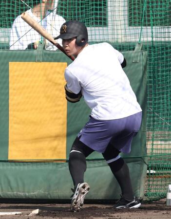 　独自の構えでボールを呼び込む井坪（撮影・田中太一）