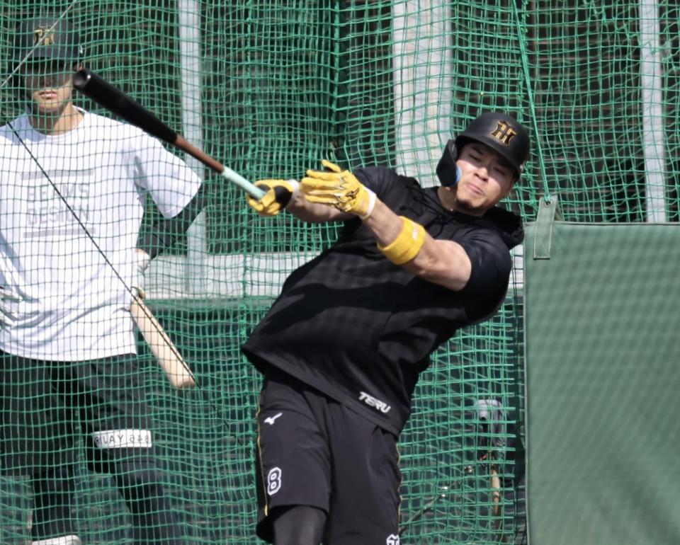 　打撃練習をする佐藤輝（撮影・田中太一）