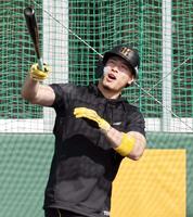 　打撃練習をする佐藤輝（撮影・田中太一）