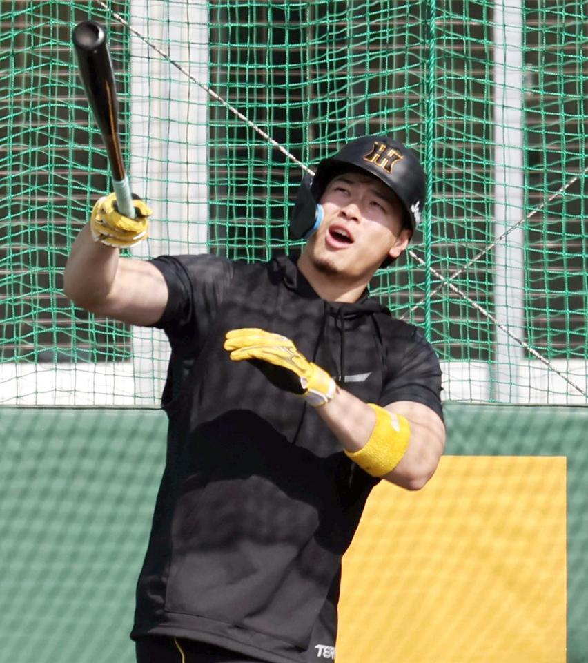 　打撃練習をする佐藤輝（撮影・田中太一）