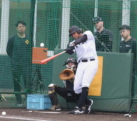 　打撃練習をするヘルナンデス（撮影・中田匡峻）