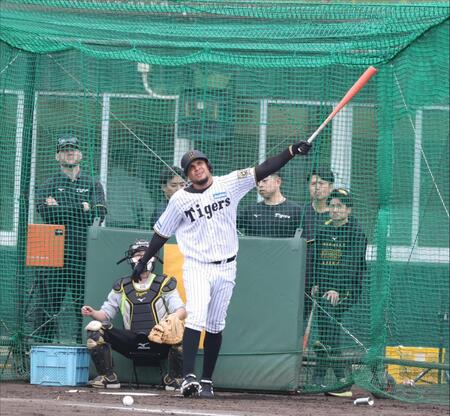 　打撃練習をするヘルナンデス（撮影・中田匡峻）