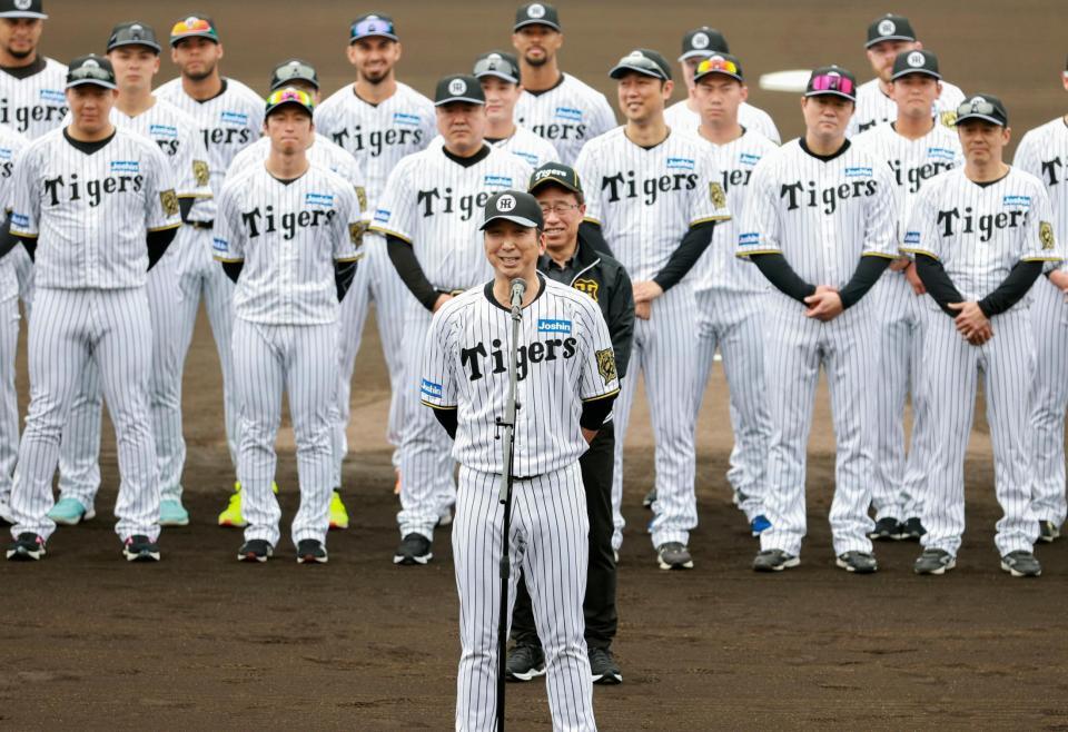 DECENTE デサント 阪神タイガース スタジャン ナイロン