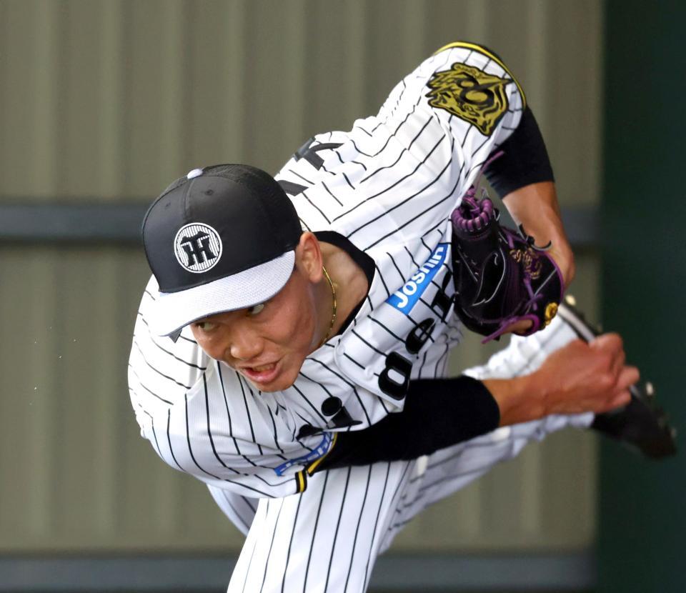 　ブルペンで投球練習する湯浅（撮影・山口登）