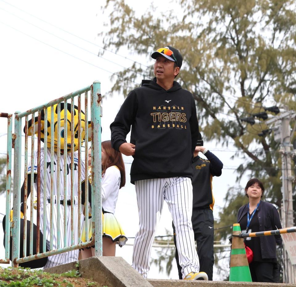 　球場に姿を現した藤川監督（撮影・北村雅宏）