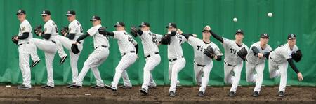 　ネルソンの連続写真