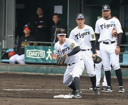 　送球を受ける佐藤輝。左奥は藤川監督（撮影・中田匡峻）
