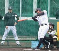 　ランチ特打で快音を響かせるヘルナンデス（撮影・中田匡峻）