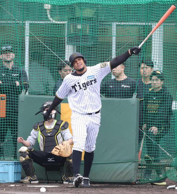 阪神・ヘルナンデス 衝撃デビュー 宜野座1号は推定130メートル看板