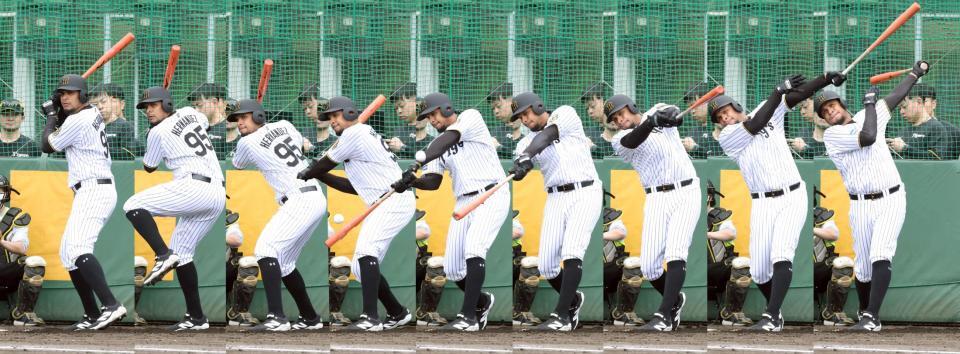 　ヘルナンデスの連続写真