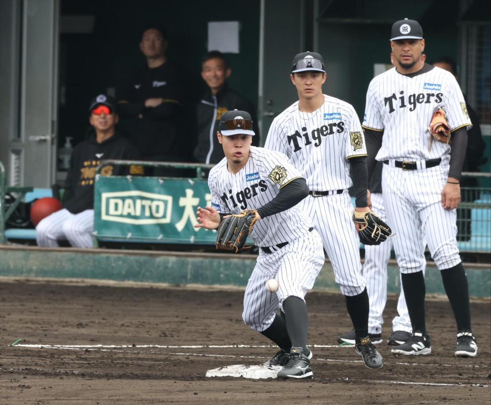 　送球を受ける佐藤輝。左奥は藤川監督（撮影・中田匡峻）