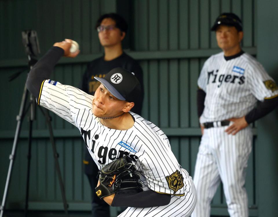 【新品未使用超激レア品】阪神タイガース金本選手スパイク f_11152326.jpg