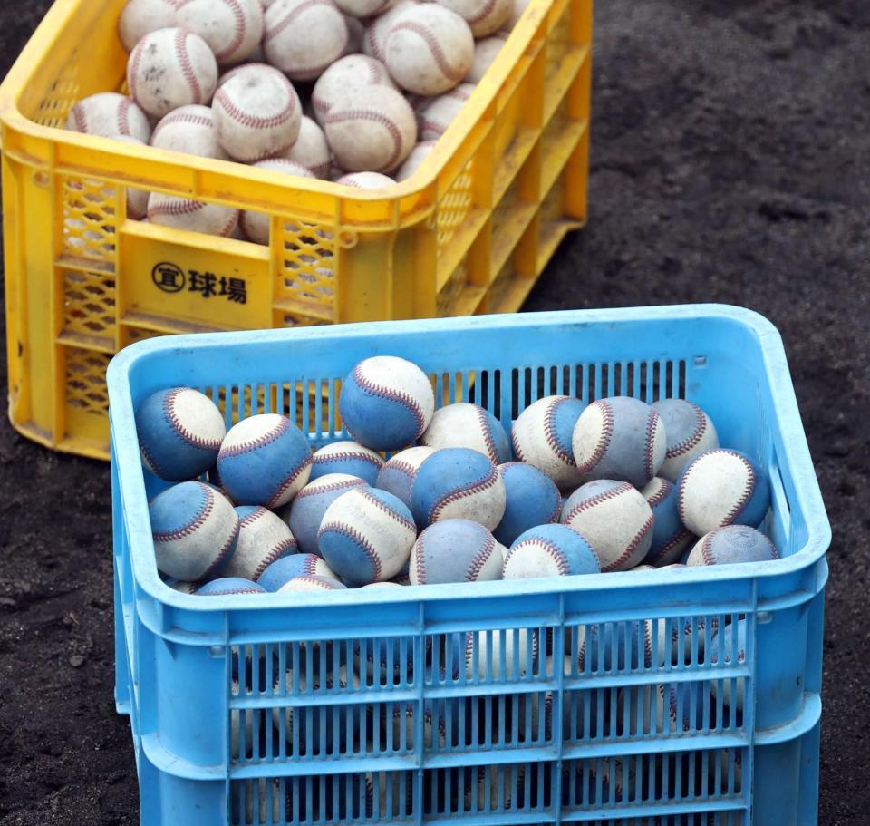 　佐藤輝がティー打撃で使った重いボール（下）撮影・田中太一）