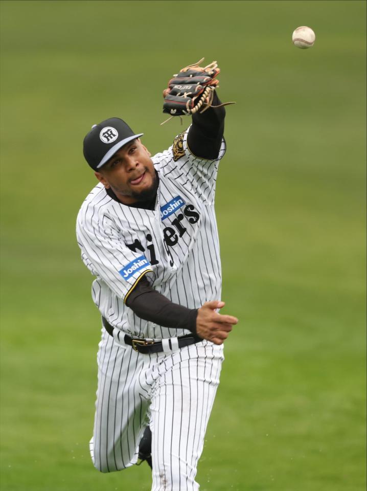 　ノックを受けるヘルナンデス（撮影・中田匡峻）