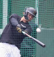 　打撃練習をする佐藤輝（撮影・中田匡峻）
