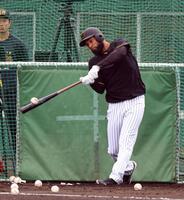 　打撃練習で快音を響かせるコンスエグラ（撮影・山口登）