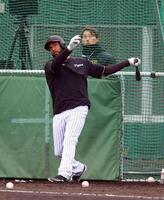 　打撃練習で快音を響かせるコンスエグラ（撮影・山口登）