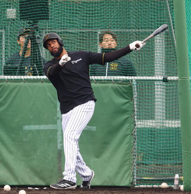 阪神2軍 育成新外国人のコンスエグラがフリー打撃で15発 もう少しで