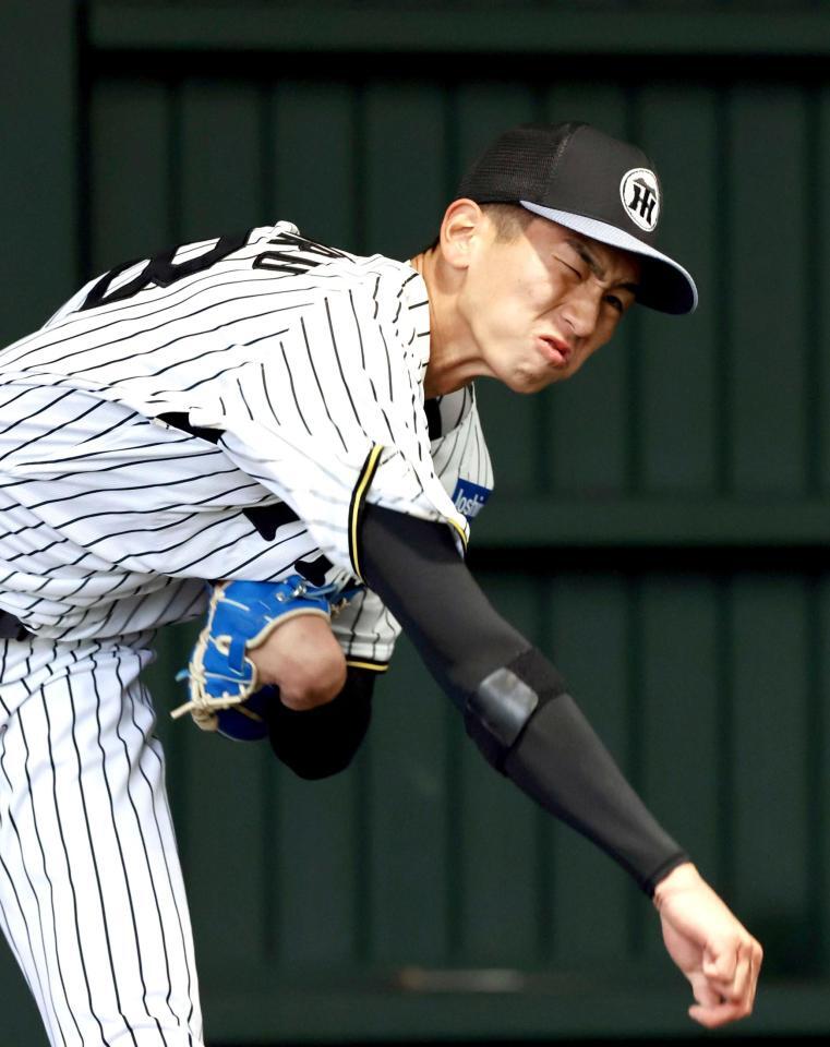 　ブルペンで投球練習する今朝丸（撮影・山口登）