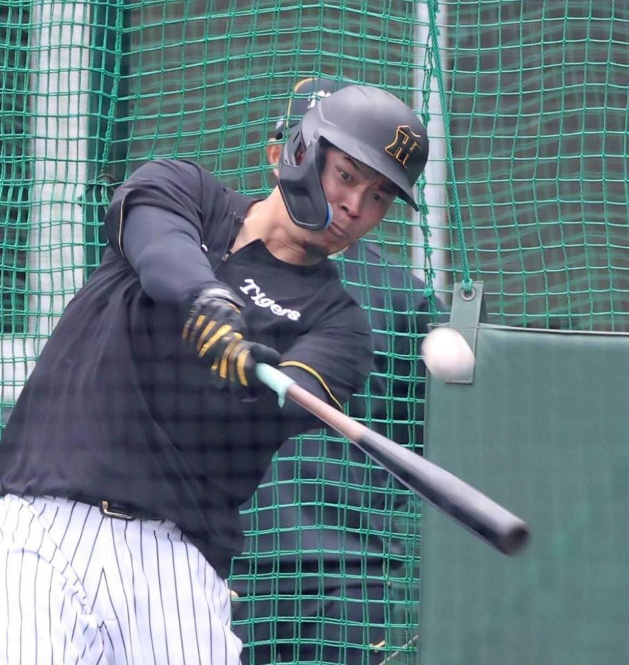 　打撃練習をする佐藤輝（撮影・中田匡峻）