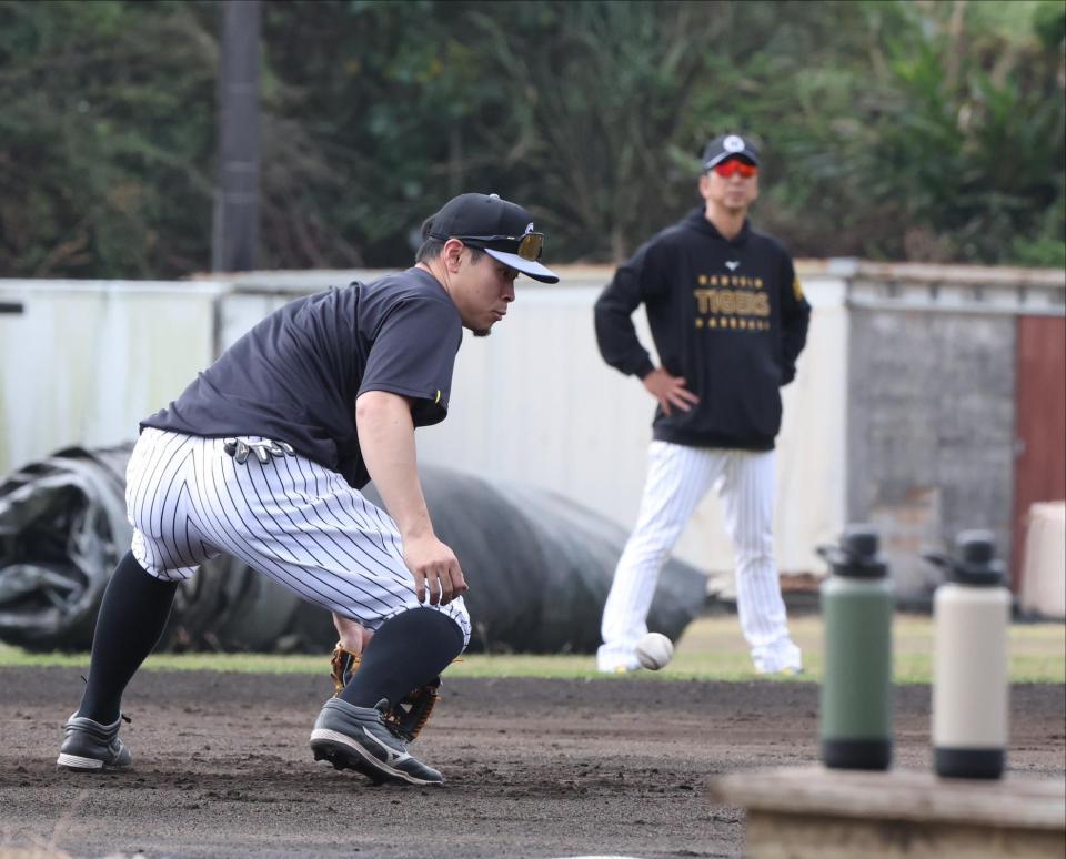 　藤川監督（奥）が見守る中、ノックを受ける佐藤輝（撮影・中田匡峻）