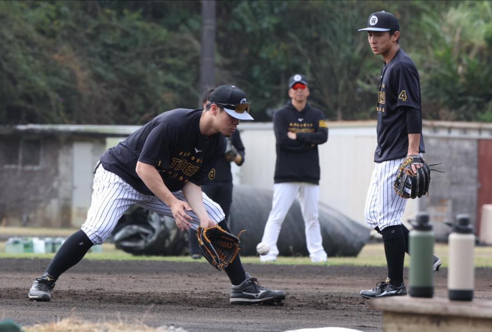 　藤川監督（奥）が見守る中、ノックを受ける佐藤輝。右は熊谷（撮影・中田匡峻）