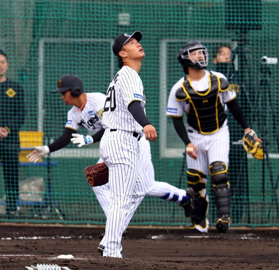 　シート打撃に登板した森木は百崎を左飛に打ち取る（撮影・山口登）