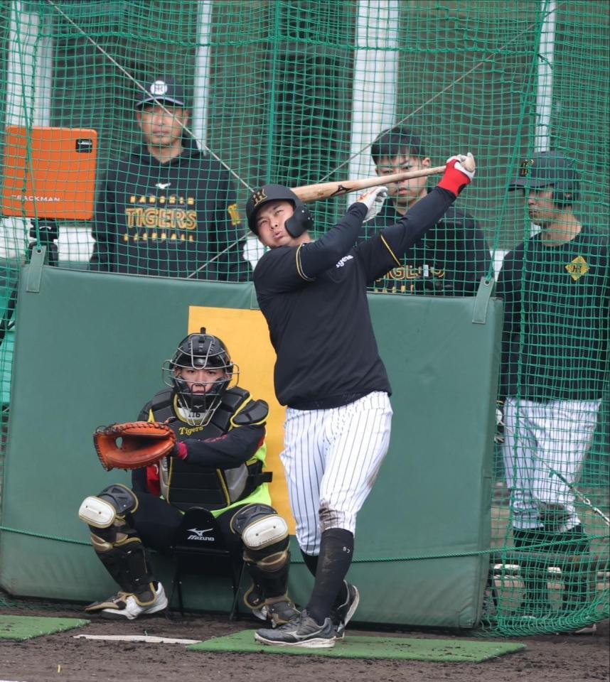 　打撃練習をする野口（撮影・中田匡峻）