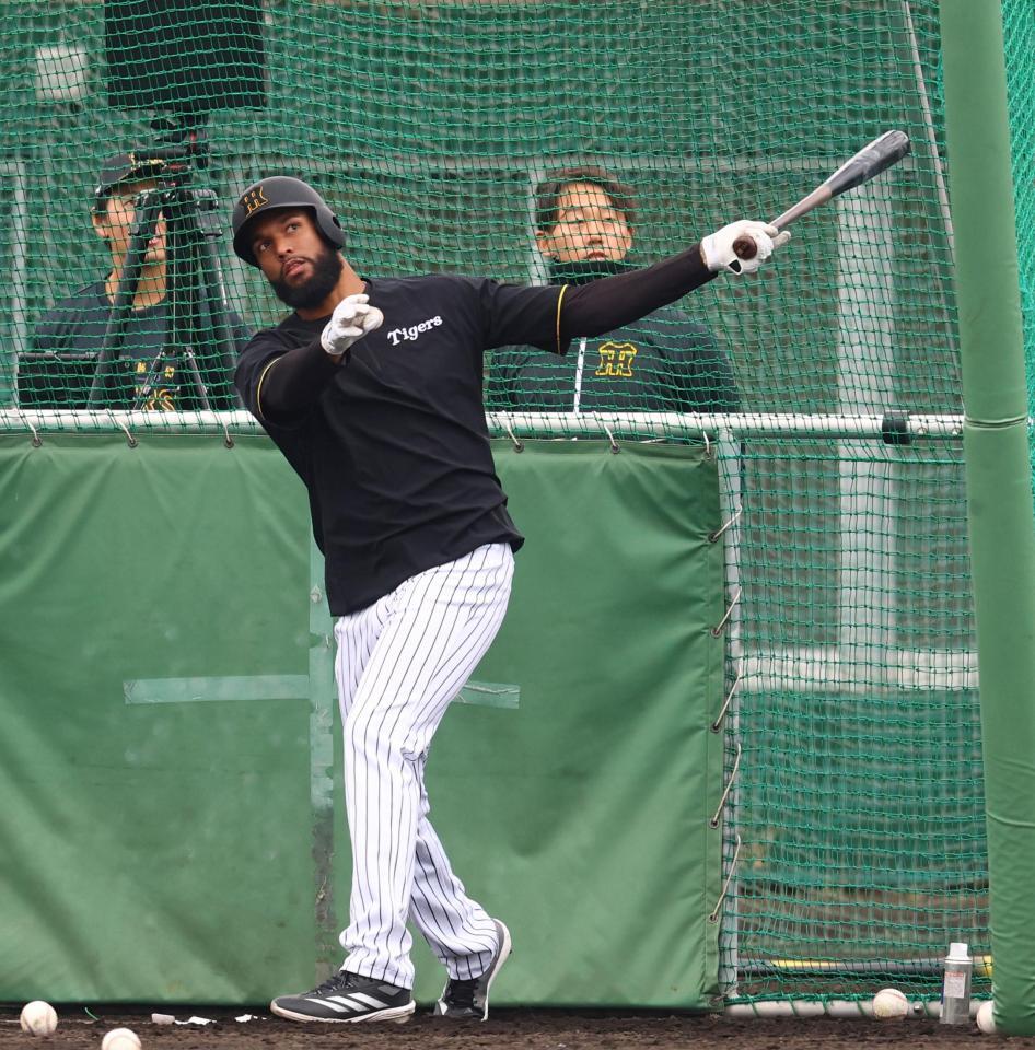 　打撃練習するコンスエグラ（撮影・山口登）