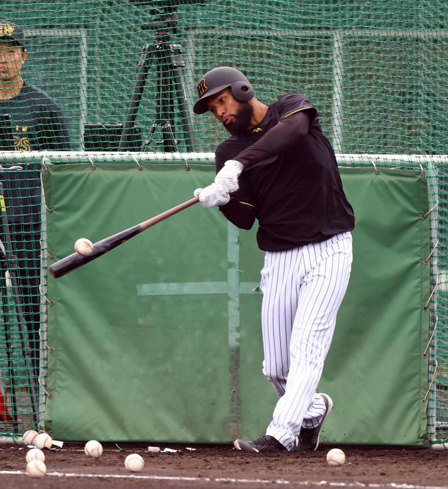 　打撃練習で快音を響かせるコンスエグラ（撮影・山口登）