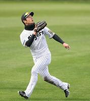 　ノックを受ける近本（撮影・中田匡峻）