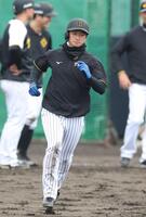 　走塁練習をする近本（撮影・中田匡峻）