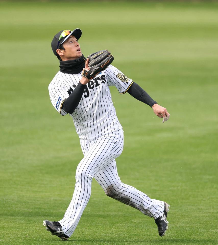 　ノックを受ける近本（撮影・中田匡峻）