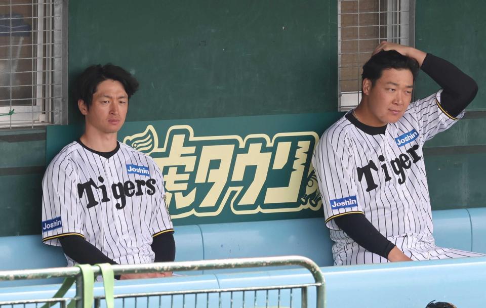 　練習の合間、ひと息入れる近本。右は大山（撮影・田中太一）