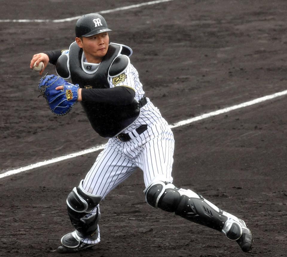 　プロのキャンプで日々勉強を重ねる町田